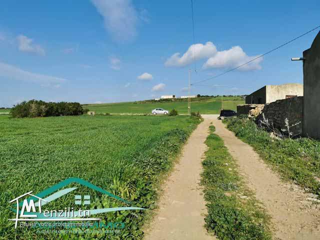 terrain agricole 27000 m² à tamezrat kelibia
