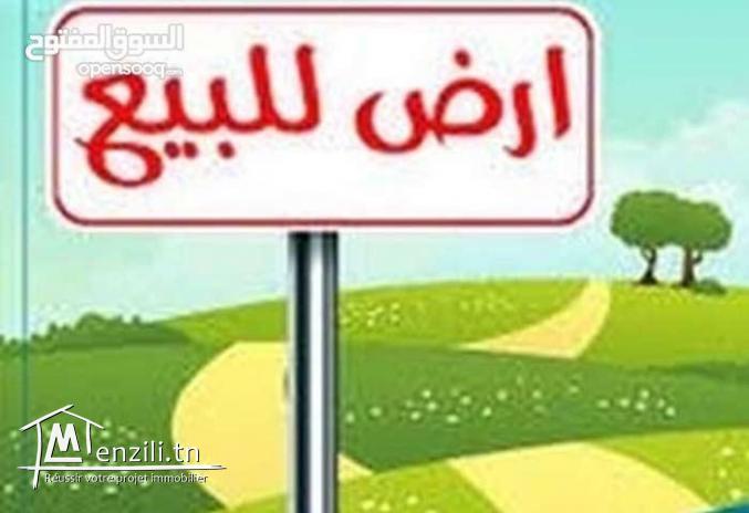 قطعة أرض للبيع بمنزل تميم 300متر مسجلة في دفتر خان