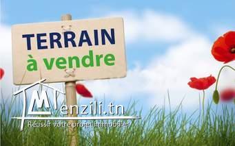 beau terrain de 727 m2