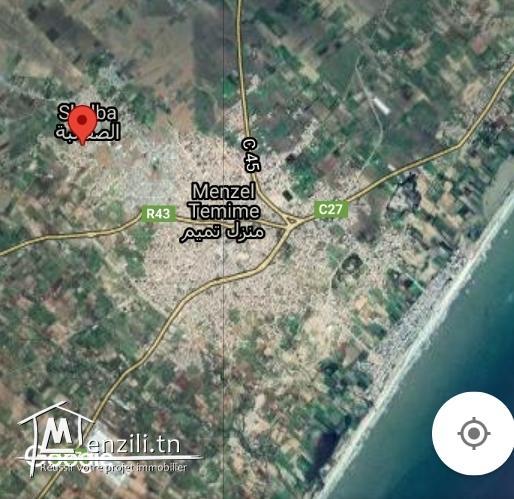 Terain a skalba menzel tmime 800 m