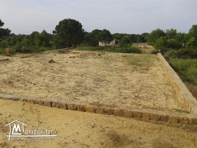 500 m à rtiba plage