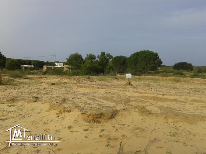 500 m à rtiba plage