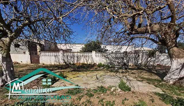 terrain agricole 10050 m² à haret chouara kelibia