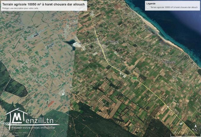 terrain agricole 10050 m² à haret chouara kelibia