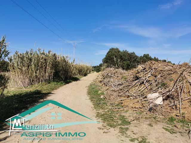 terrain agricole 10050 m² à haret chouara kelibia