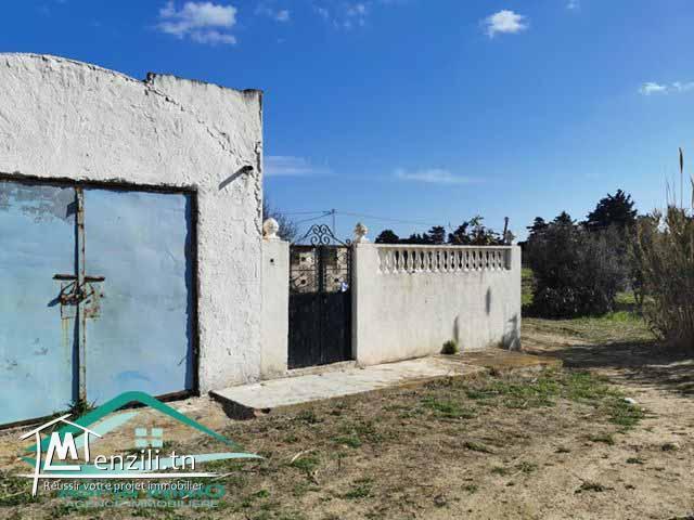 terrain agricole 10050 m² à haret chouara kelibia