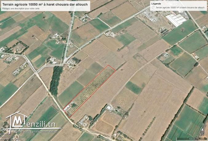terrain agricole 10050 m² à haret chouara kelibia