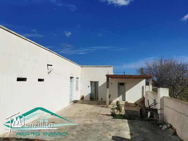 terrain agricole 10050 m² à haret chouara kelibia