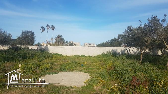 beau terrain de 597 m2 et 595 m2