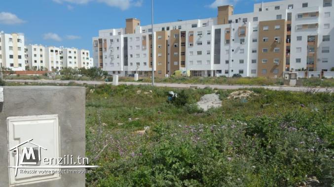 un magnifique terrain