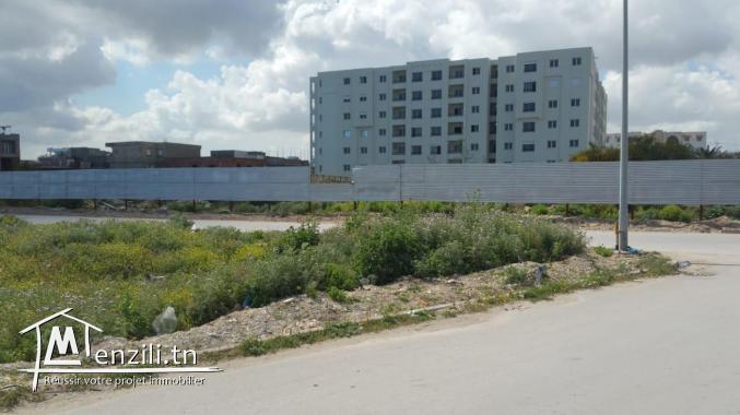 un magnifique terrain