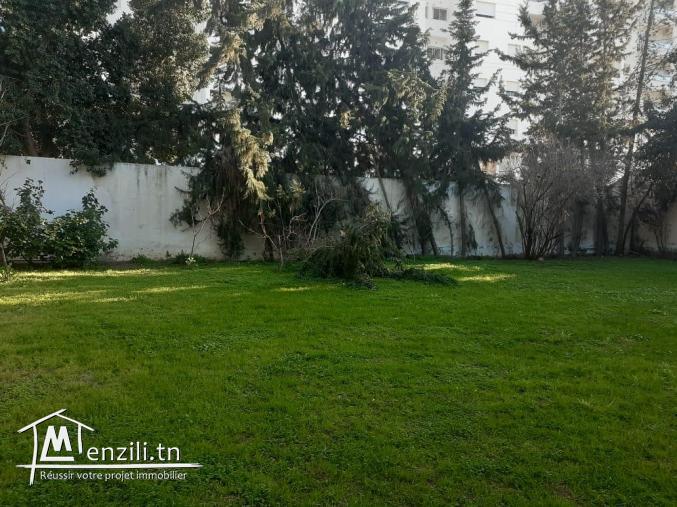 beau terrain de 500 m2