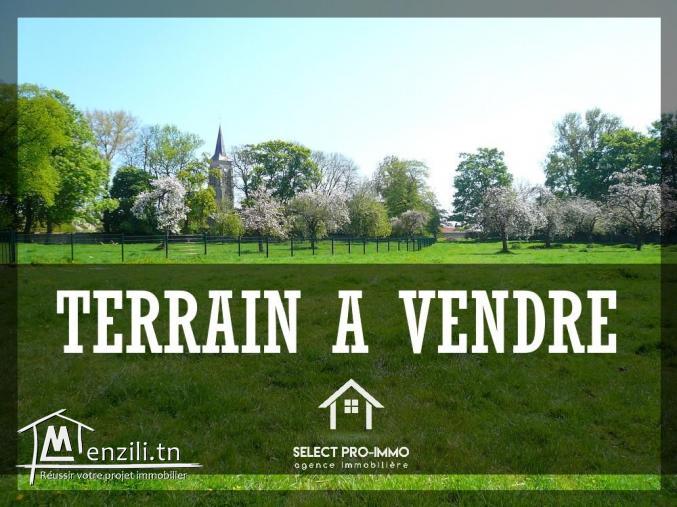 A vendre des lots de terrains à Mrezga - JB216
