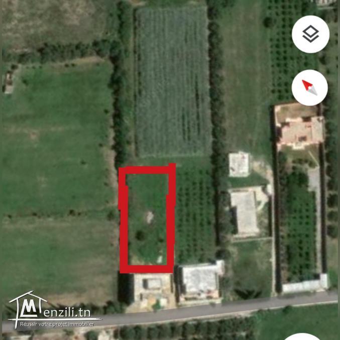 Terrain 500m à mornag