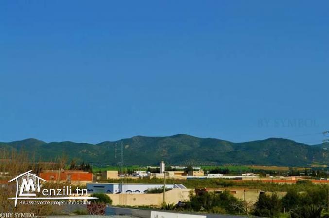 Terrain 500m à mornag