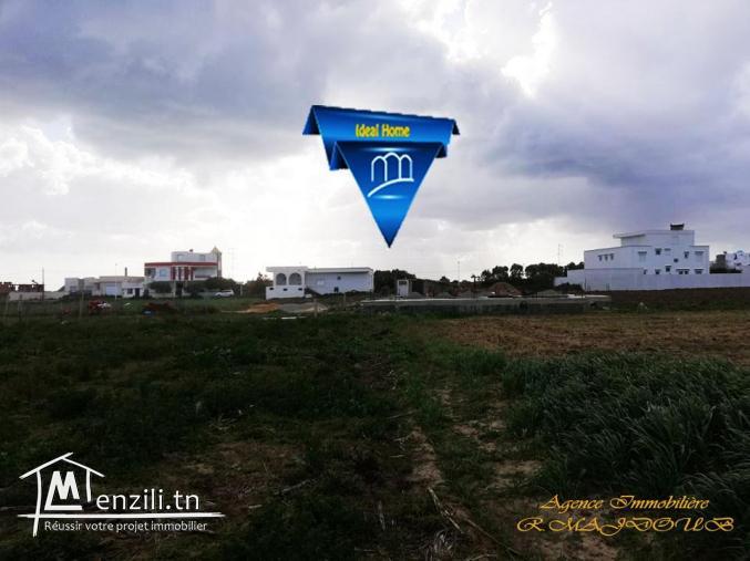 vente terrain à hammam ghzez