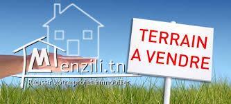 Terrain constructible 421 M2 à Soviva