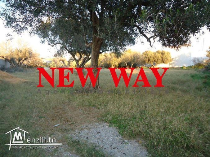 Terrain à Akouda, dans un quartier calme