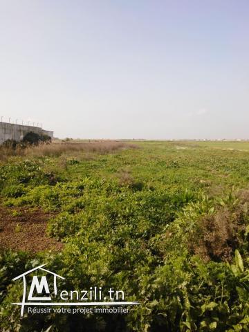 un terrain de 4400 m2 a borj touil