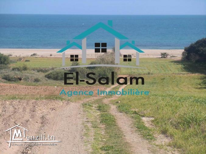 terrain magique fu sur mer distance ala plage 300m