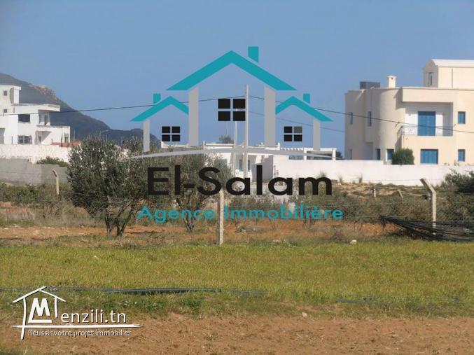 terrain magique fu sur mer distance ala plage 300m