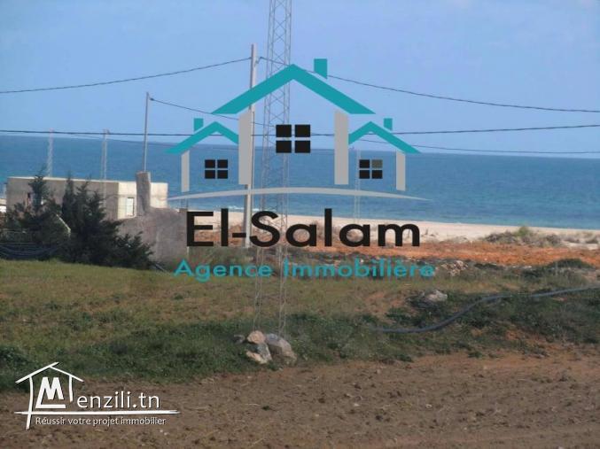 terrain magique fu sur mer distance ala plage 300m