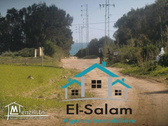 lottisement vu panoramique a la plage