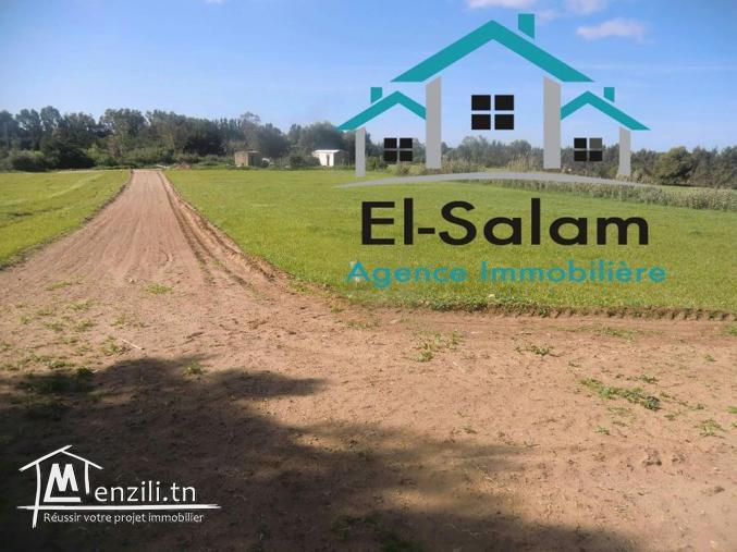 lottisement vu panoramique a la plage