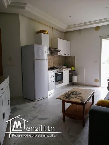 A louer appartement du type S+1 meublé au Lac 2