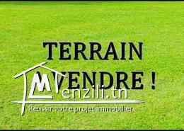 A vendre à Kélibia KK189