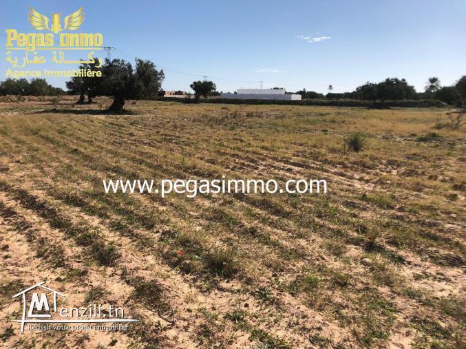 A vendre un terrain de 13 000 m² prés de Géant Midoun Djerba