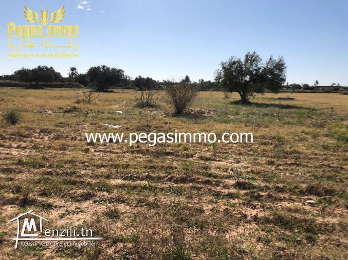A vendre un terrain de 13 000 m² prés de Géant Midoun Djerba