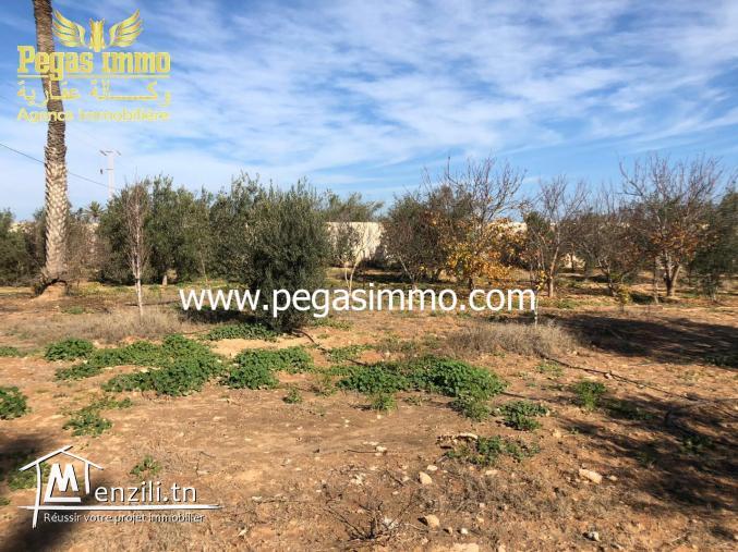 A vendre un terrain de 8500 m² à 3km De Midoun avec titre foncier