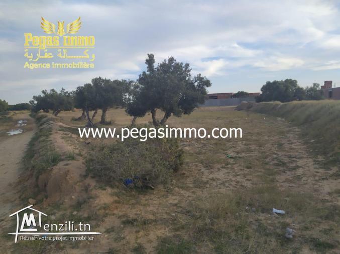 A vendre un terrain bien localisé à Midoun approximatif de Borgou Mall