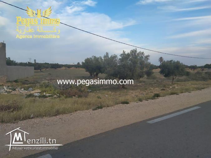 A vendre un terrain de 5000 m² avec titre foncier sur la route principale