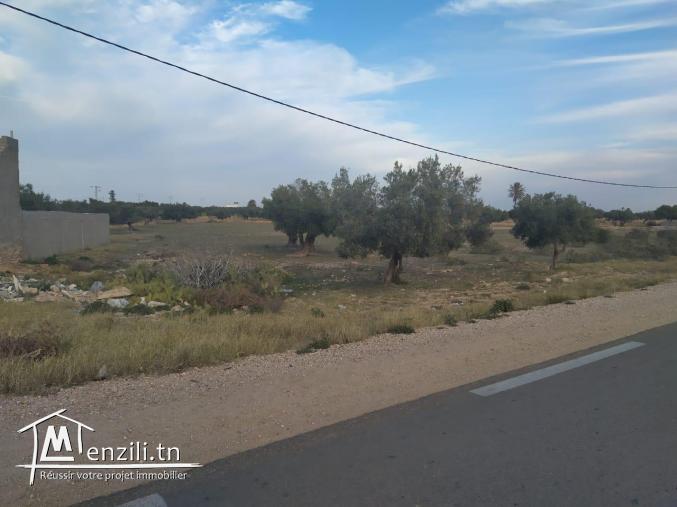 A vendre un terrain de 5000 m² avec titre foncier sur la route principale