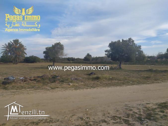 A vendre un terrain de 6000 m²