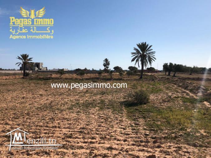 Vente A vendre un terrain à Aghir vue de mer