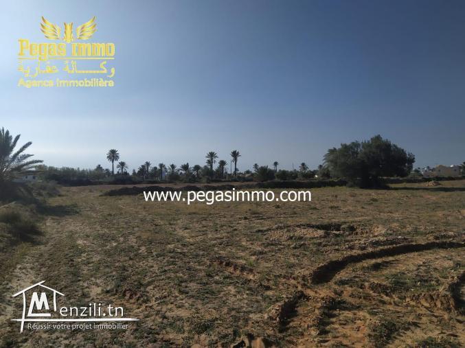 A vendre un terrain à Ben maaguel Midoun Djerba
