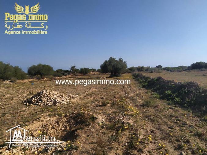 A vendre un terrain à Ben maaguel Midoun Djerba