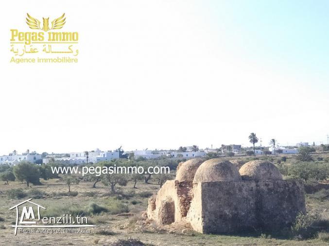 A vendre un terrain à Ben Maagal