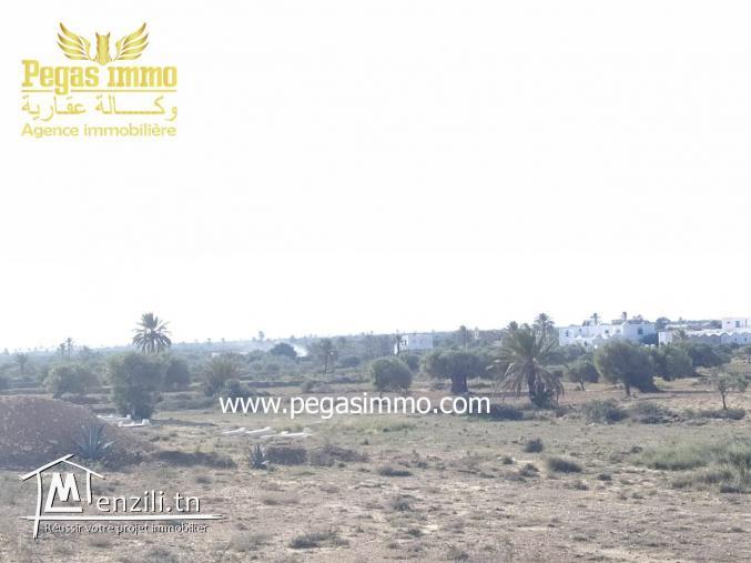 A vendre un terrain à Ben Maagal