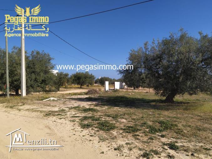 A vendre terrain /zone urbaine