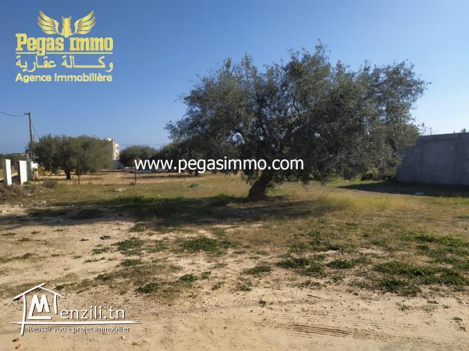 A vendre terrain /zone urbaine