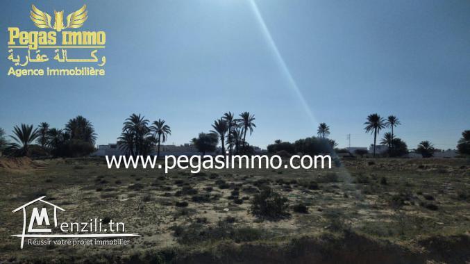 A vendre un terrain à Tizdayine