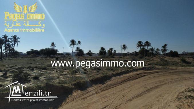 A vendre un terrain à Tizdayine