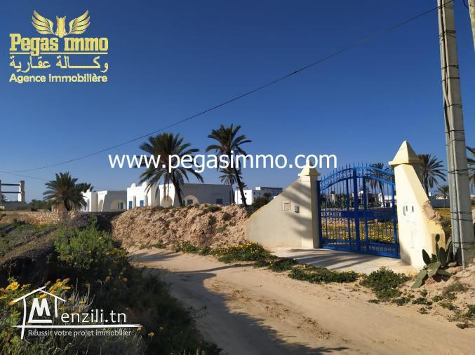 A ventre un terrain Midoun/Zone urbaine