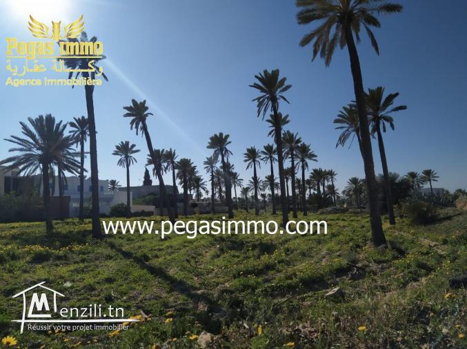 A ventre un terrain Midoun/Zone urbaine