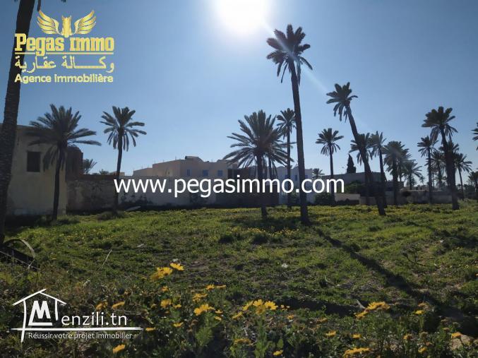 A ventre un terrain Midoun/Zone urbaine