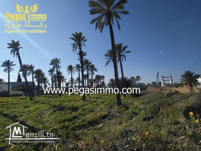 A ventre un terrain Midoun/Zone urbaine